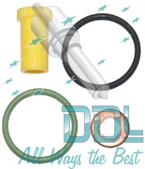Seal Kit Delphi Smart Injector