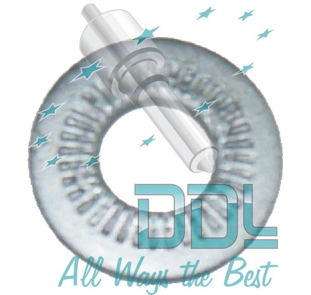 Common Rail DFP Shakeproof Washer