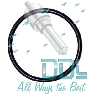 Lift Pump Flange O Ring