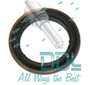 Common Rail Bosch CP1H Pump High Pressure Seal