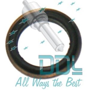 Common Rail Bosch CP1H Pump High Pressure Seal