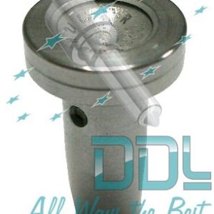 Common Rail Bosch Pilot Valve