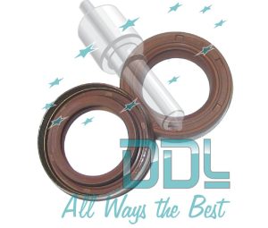 Common Rail Bosch CP3 Oil Seal Kit