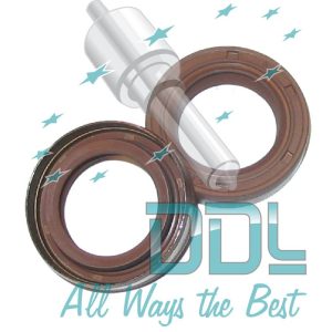 Common Rail Bosch CP3 Oil Seal Kit