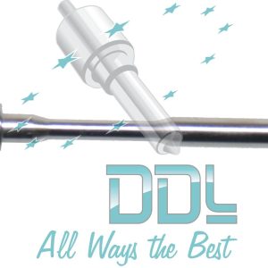 Common Rail Bosch Pilot Valve Assembly