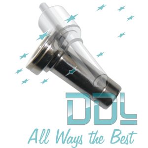 Common Rail Bosch Pilot Valve