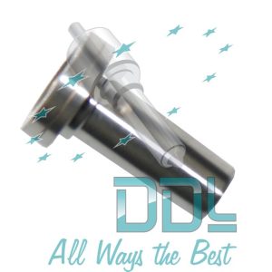 Common Rail Bosch Pilot Valve