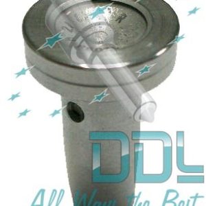 Common Rail Bosch Pilot Valve