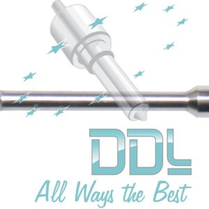 Common Rail Bosch Pilot Valve Assembly