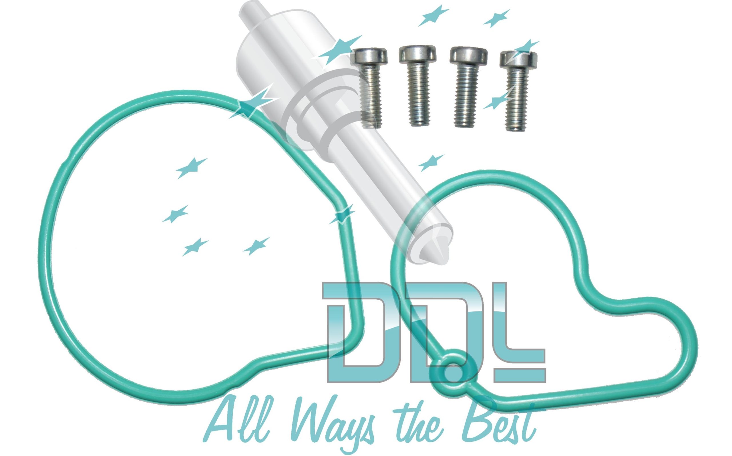 Tandem Pump Rubber Seal Kit