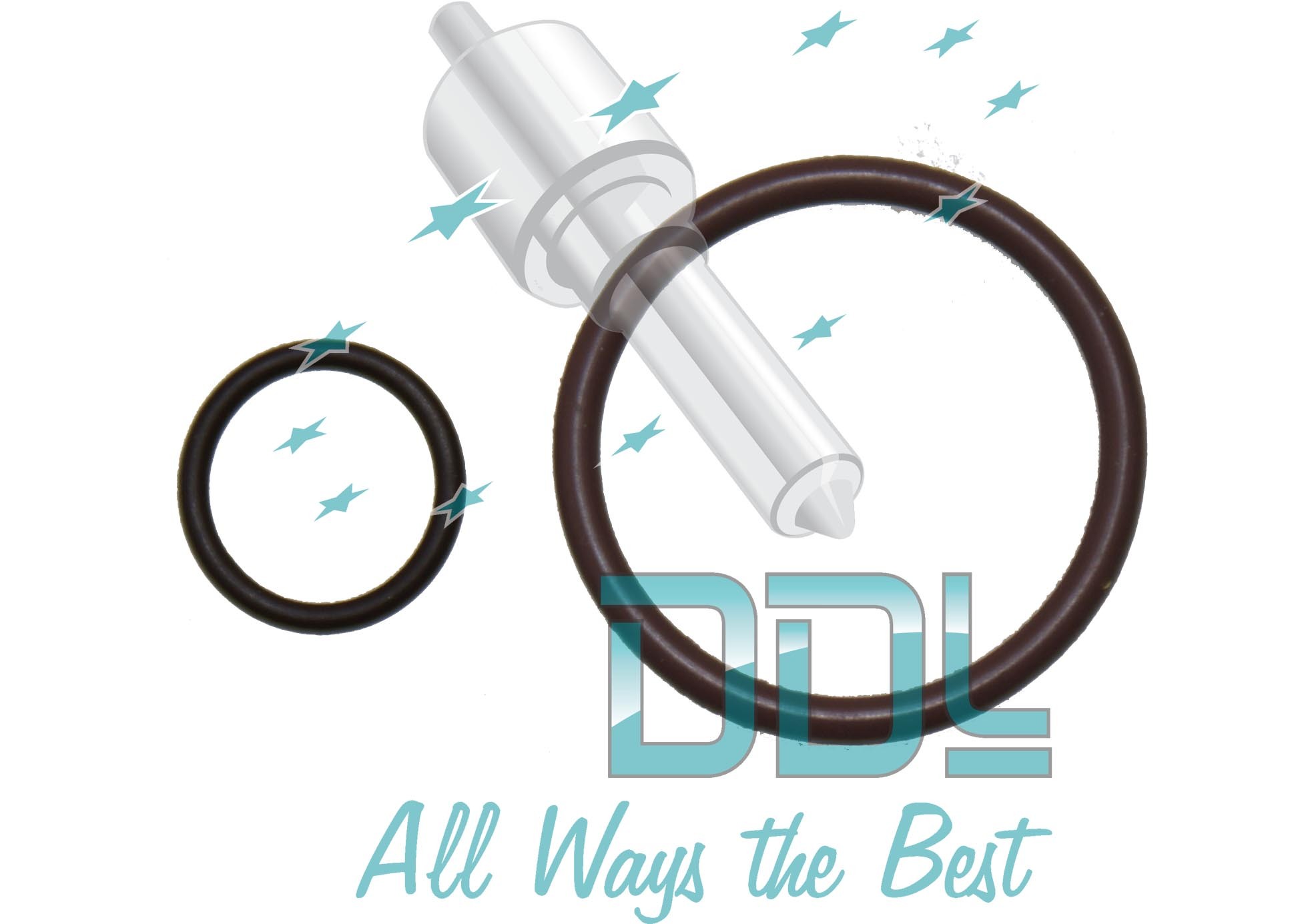 SOL80 Seal Kit VW PDE80 1st Gen