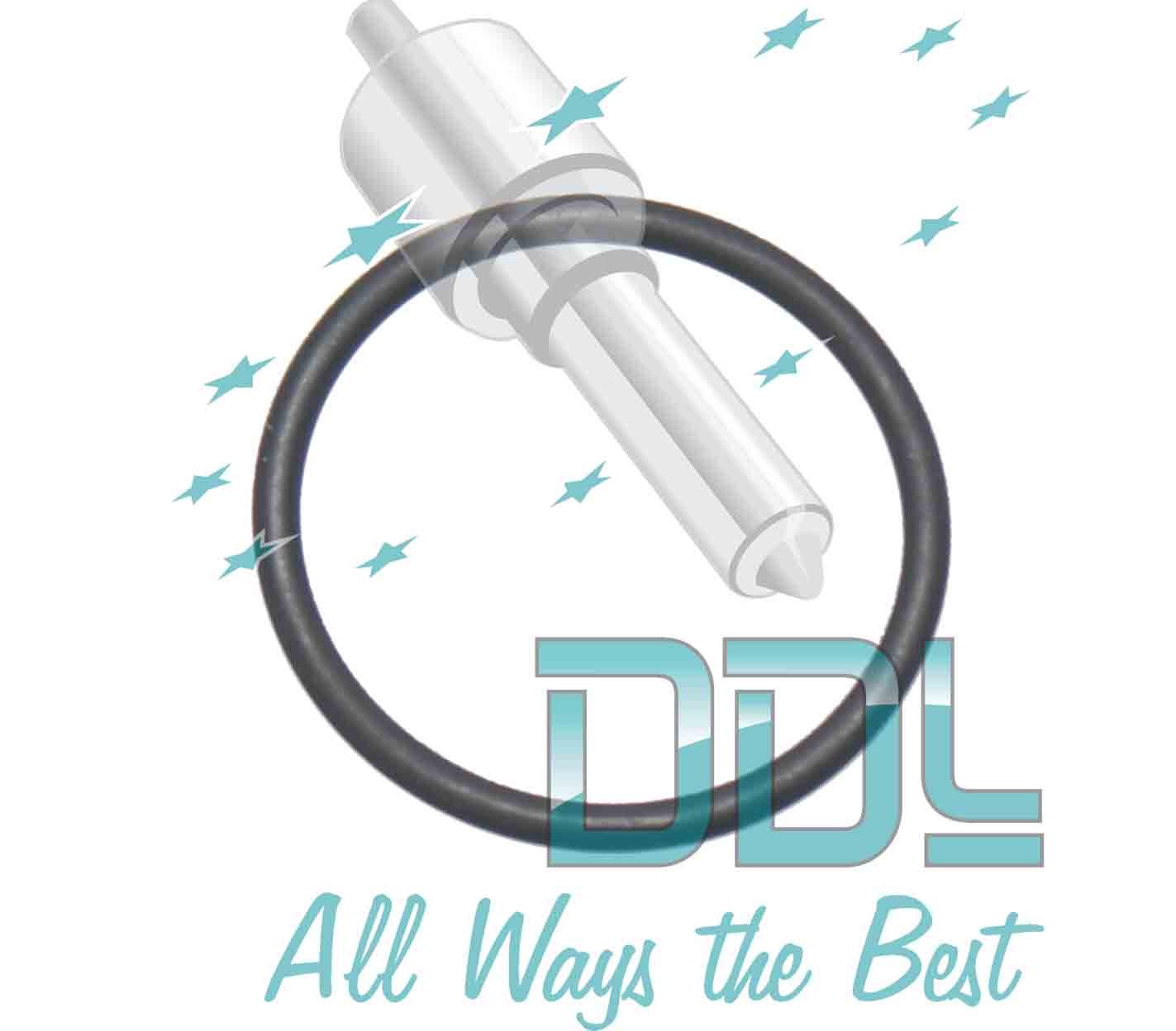 Large O Ring CP3 Transfer Pump