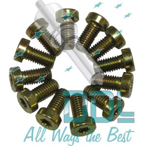 CMR31 CP1 Bosch Element Cover Screw