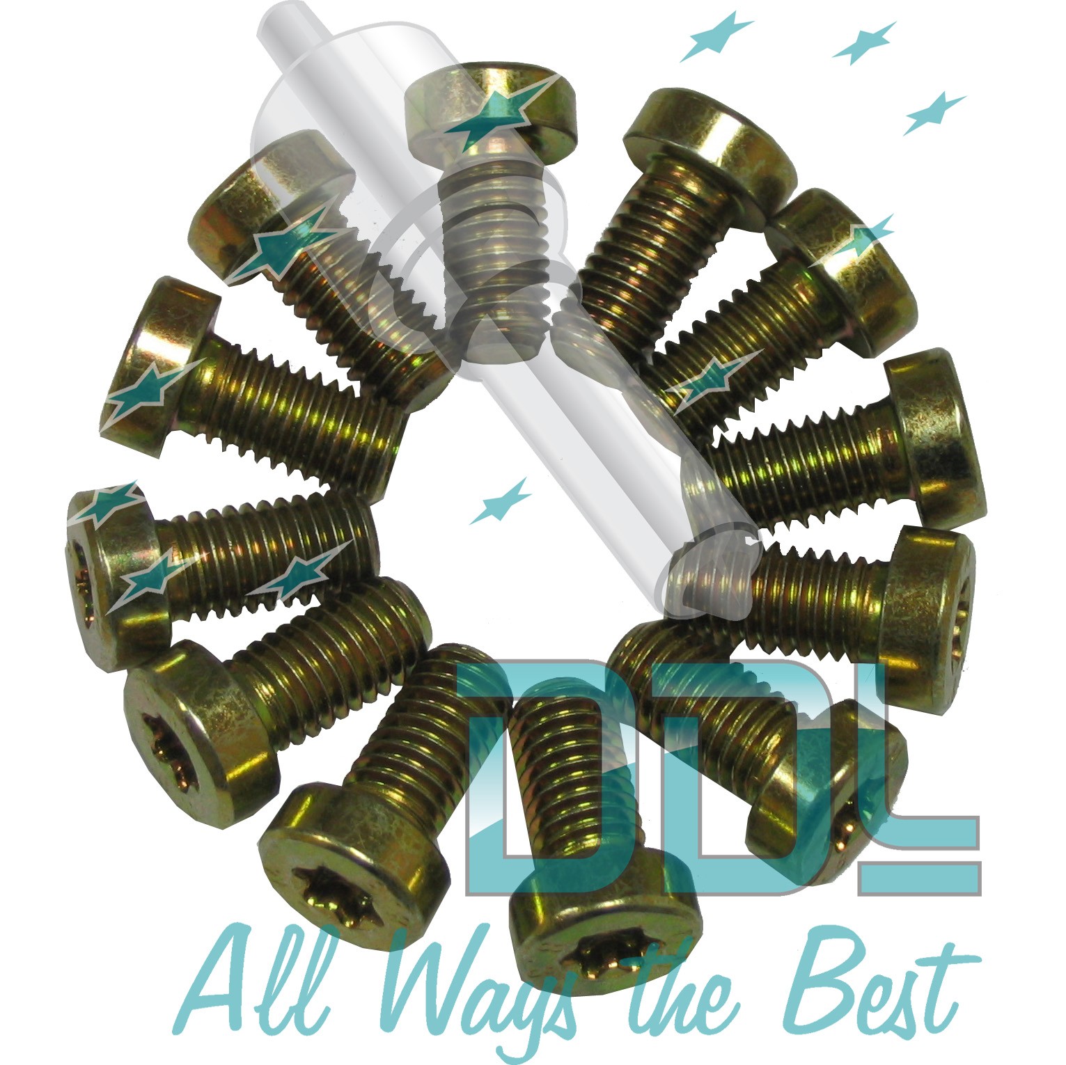 CMR31 CP1 Bosch Element Cover Screw