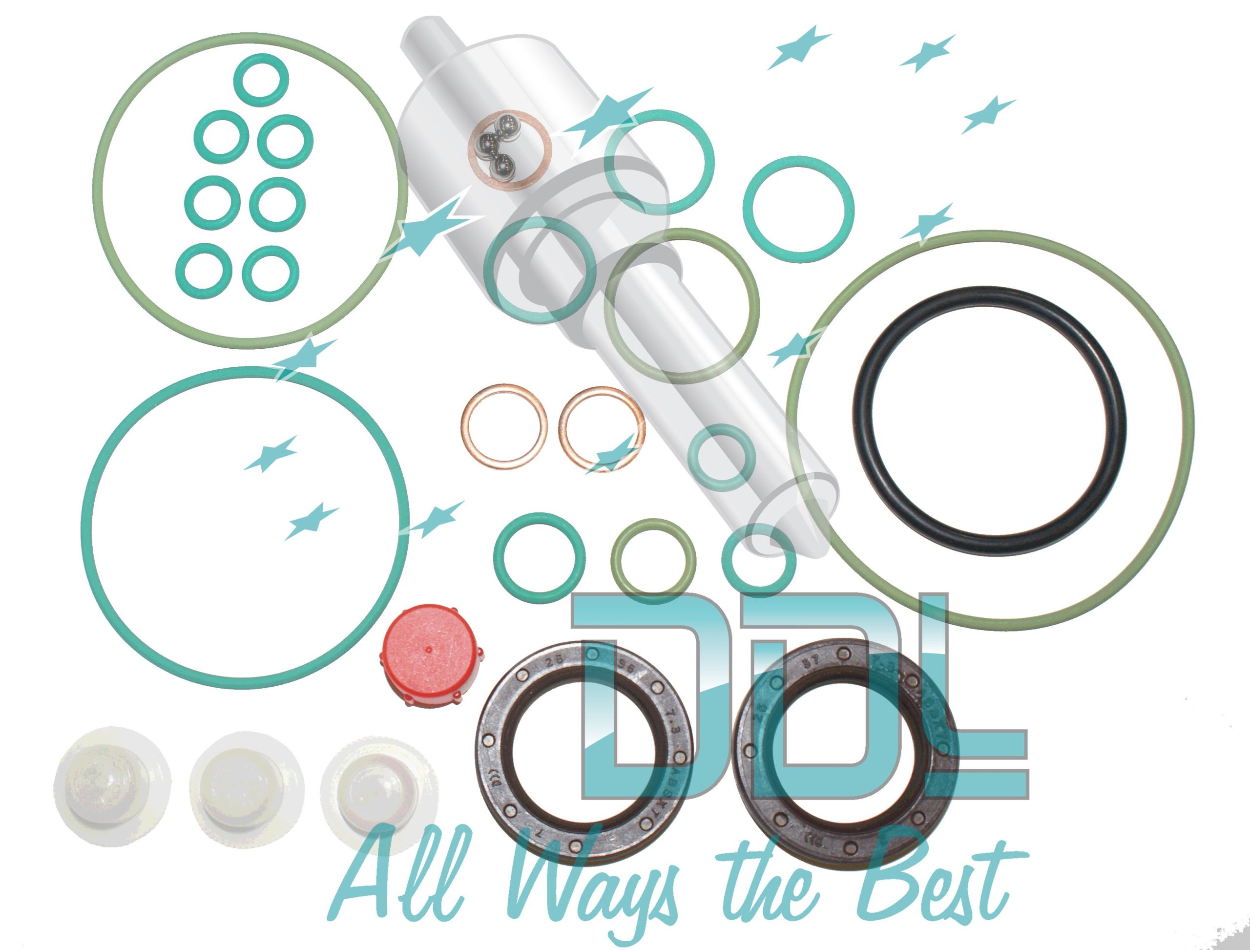 Common Rail Bosch CP3 Seal Kit