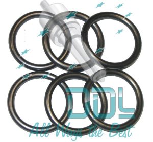 CMR75 Common Rail Injector Body Seal Iveco/Cummins