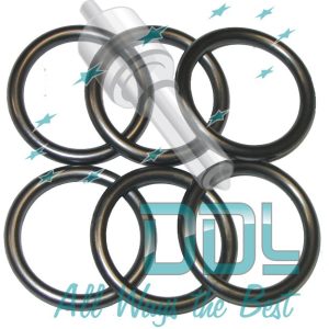 CMR75 Common Rail Injector Body Seal Iveco/Cummins