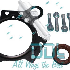 X39-800-300-001Z Genuine Common Rail Siemens Pump Repair Kit