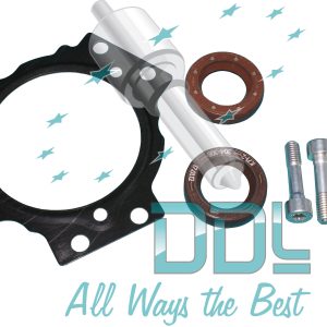 Common Rail Siemens Pump Repair Kit