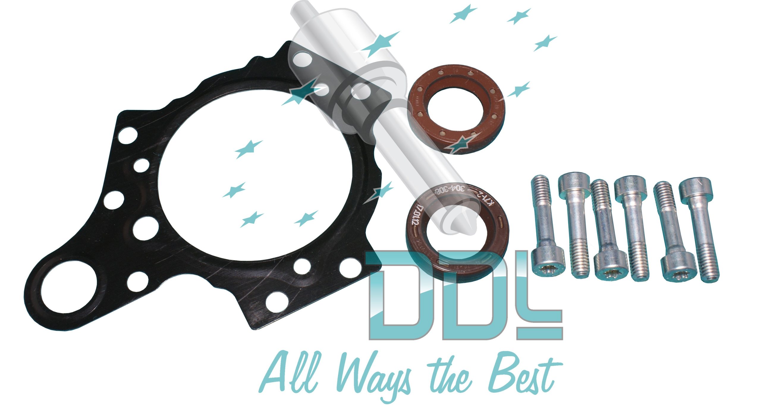 Common Rail Siemens Pump Repair Kit