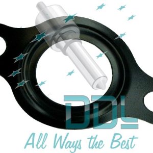 CMR102 Common Rail Bosch Pressure Regulator Gasket