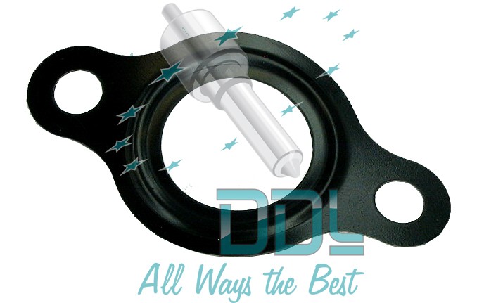 CMR102 Common Rail Bosch Pressure Regulator Gasket