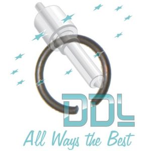 CMR2 Common Rail Bosch CP1 Element Circlip