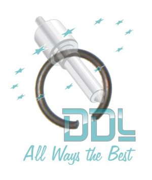 CMR2 Common Rail Bosch CP1 Element Circlip