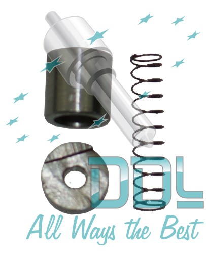 CMR24 Common Rail Bosch CP1 Shut Down Valve Assembly