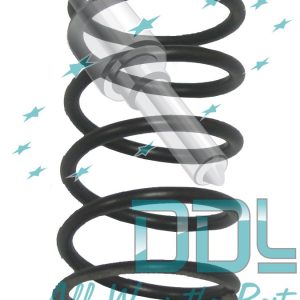CMR1 Common Rail Bosch CP1 Pump Element Spring