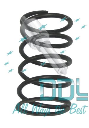 CMR1 Common Rail Bosch CP1 Pump Element Spring