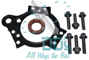 Common Rail Siemens Flange Gasket Kit