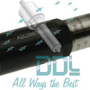 Common Rail Siemens Nozzle Repair Kit