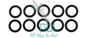 Common Rail DRV Valve O Ring