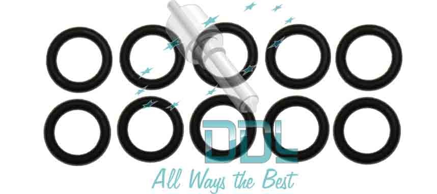Common Rail DRV Valve O Ring