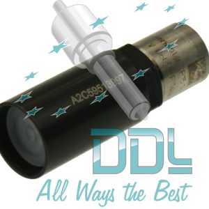 Common Rail Siemens Nozzle & Cap Nut Kit