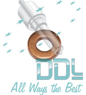 27D152 Bosch Common Rail Injector Copper Washer BMW/Fiat