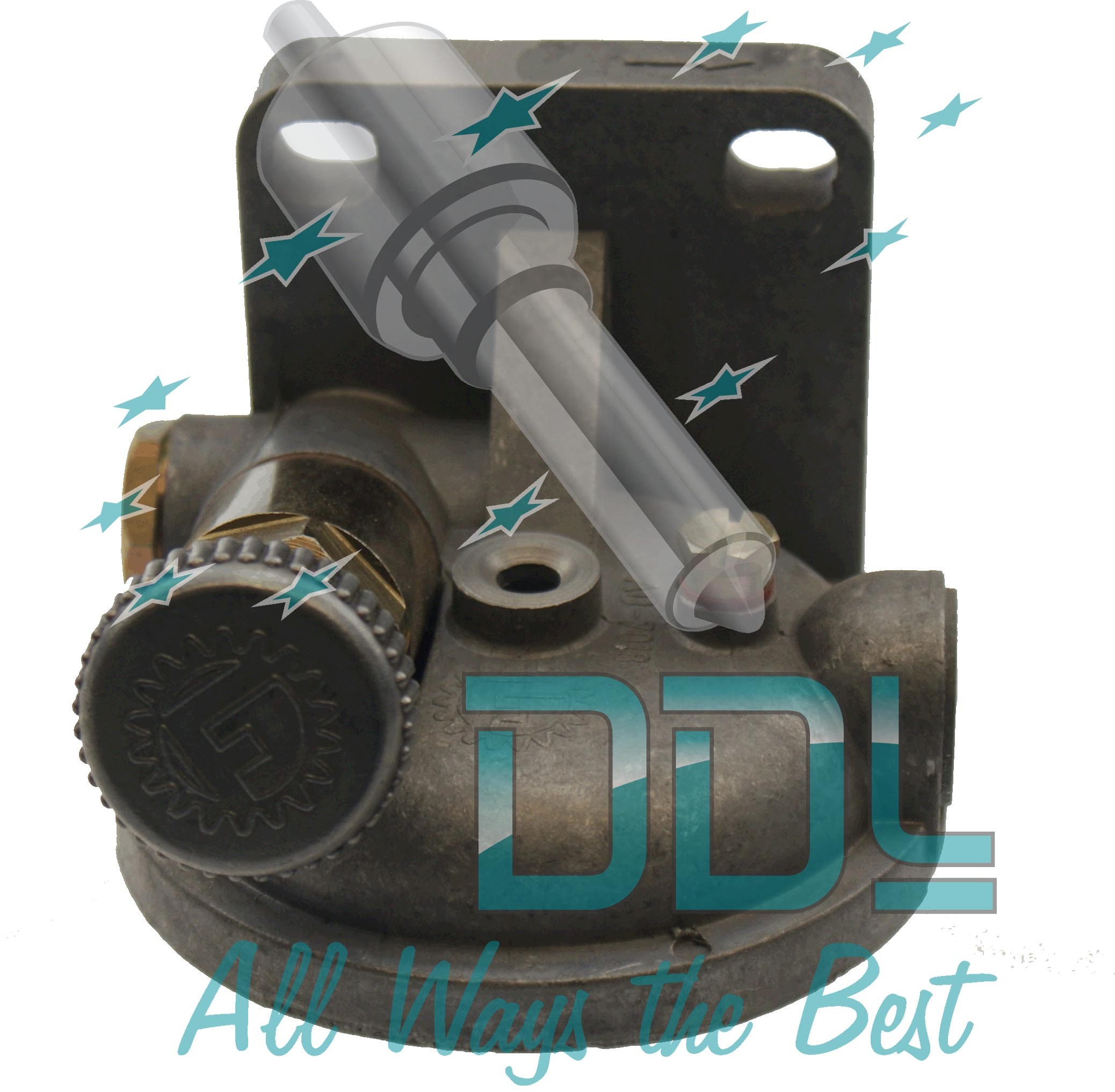 22D1220-B CAV Delphi Single Filter Top with Primer 14mm