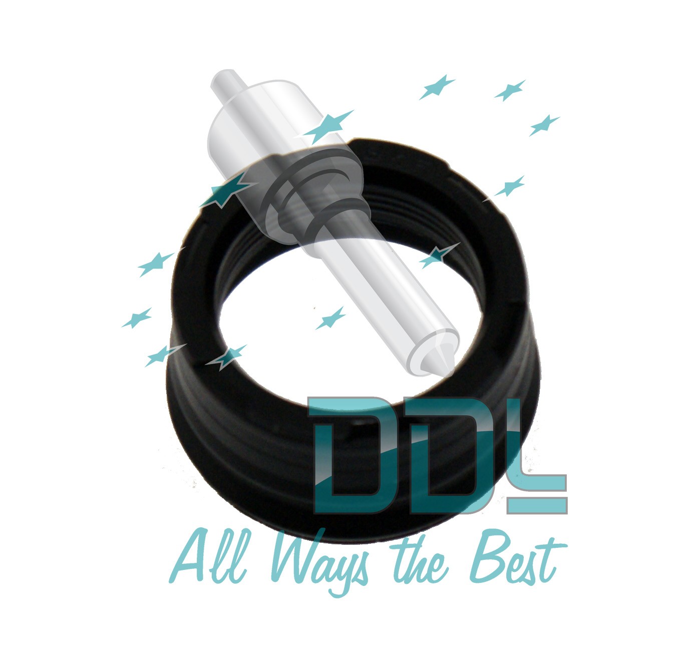 Common Rail Iveco Injector Seal