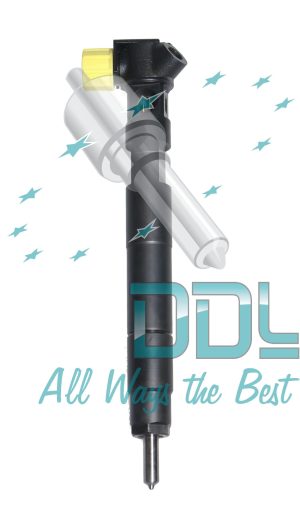 Common Rail Delphi Injector R0000D2