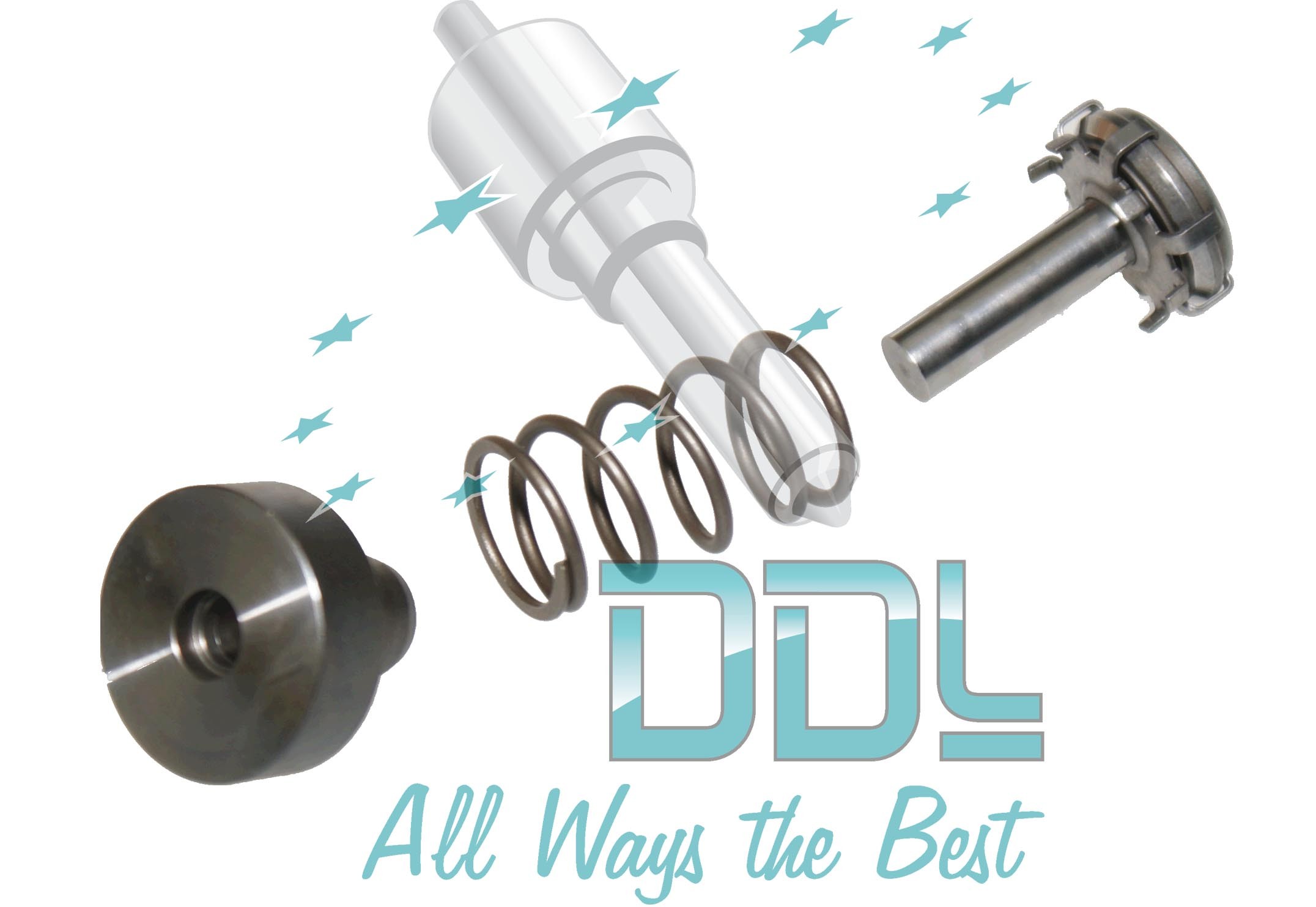 PLUNGER & BARREL ASSAY