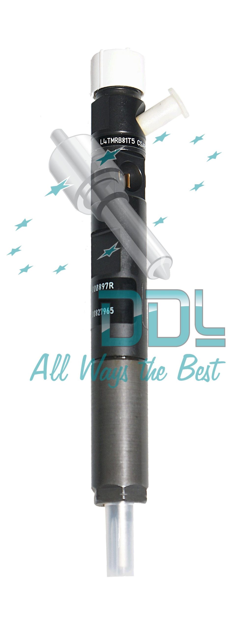 Common Rail Delphi Injector R05601D