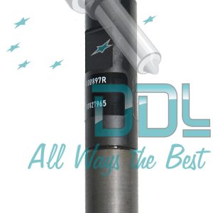 Common Rail Delphi Injector R05601D Genuine