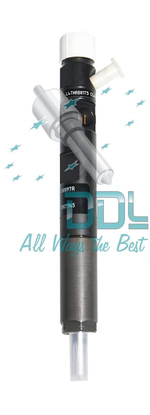 Common Rail Delphi Injector R05601D Genuine