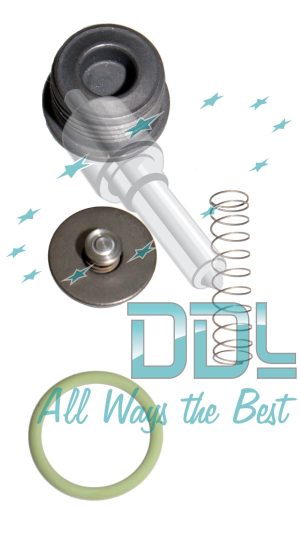 PARTS SET SUCTION VALVE GEN