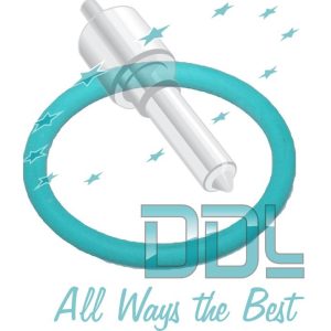 CR SUCTION VALVE O RING