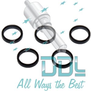 SEAL RING HEAD CP1 pump  x5