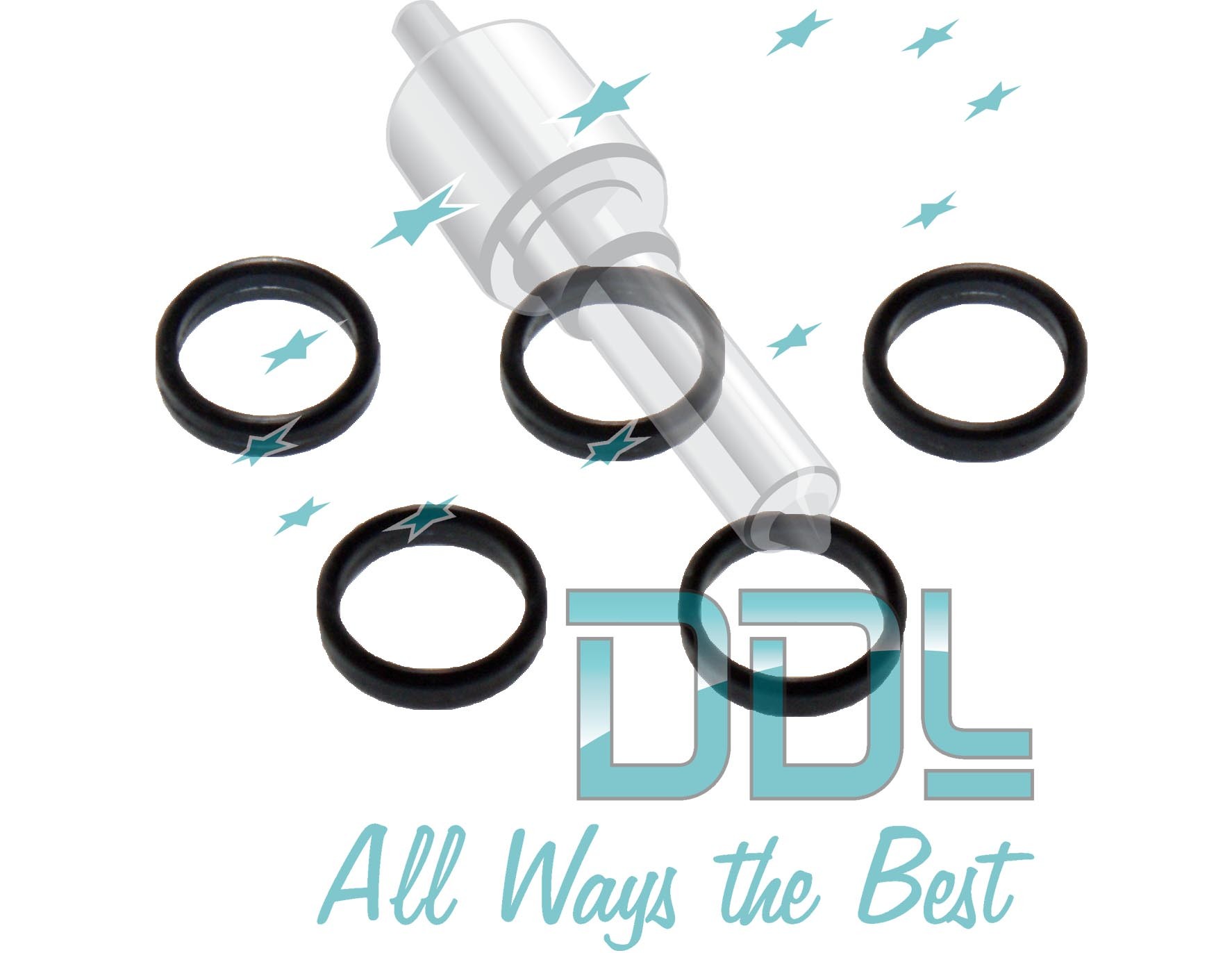 SEAL RING HEAD CP1 pump x5