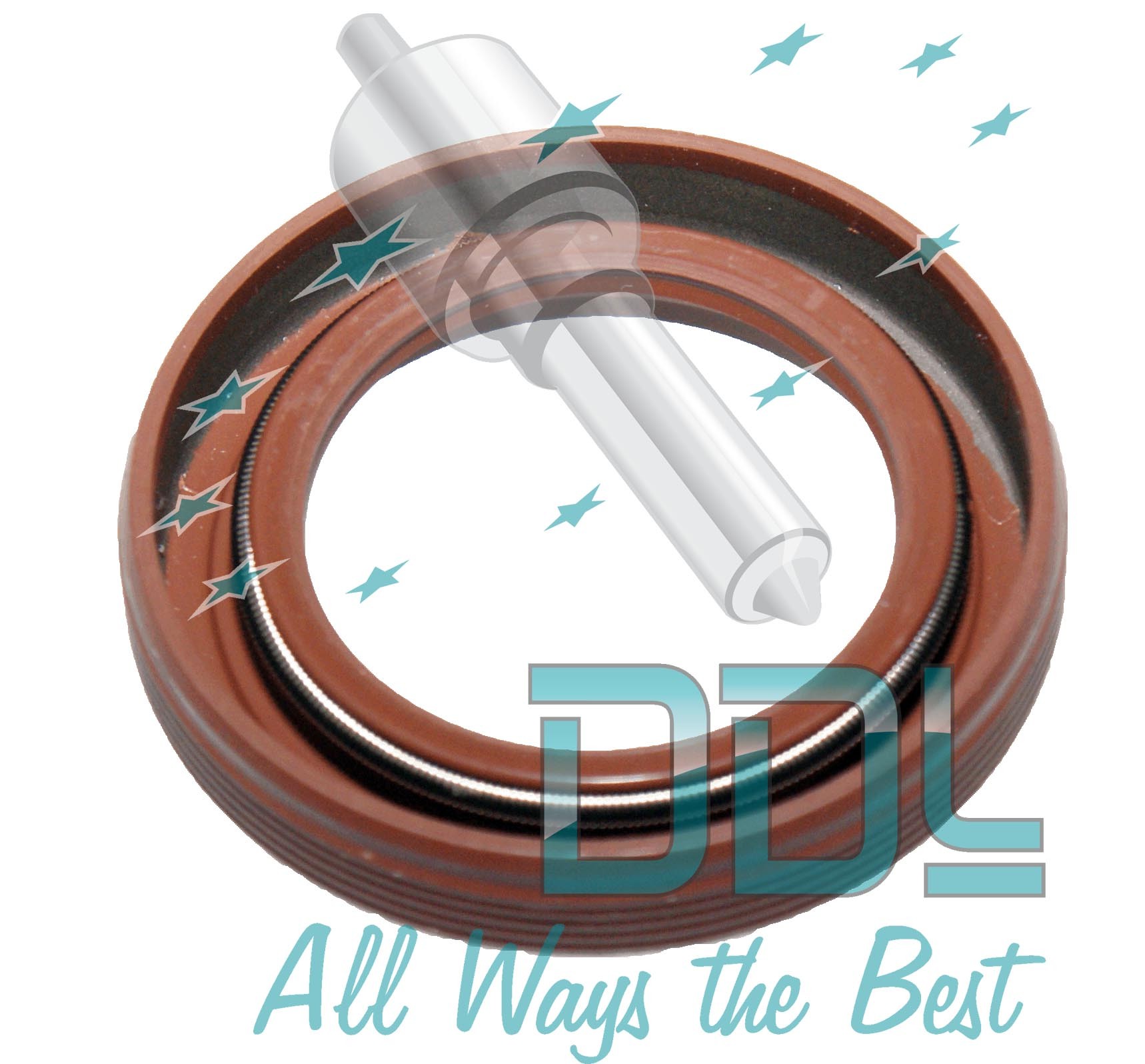 Oil seal(inner)25x37x7m CP3 pump