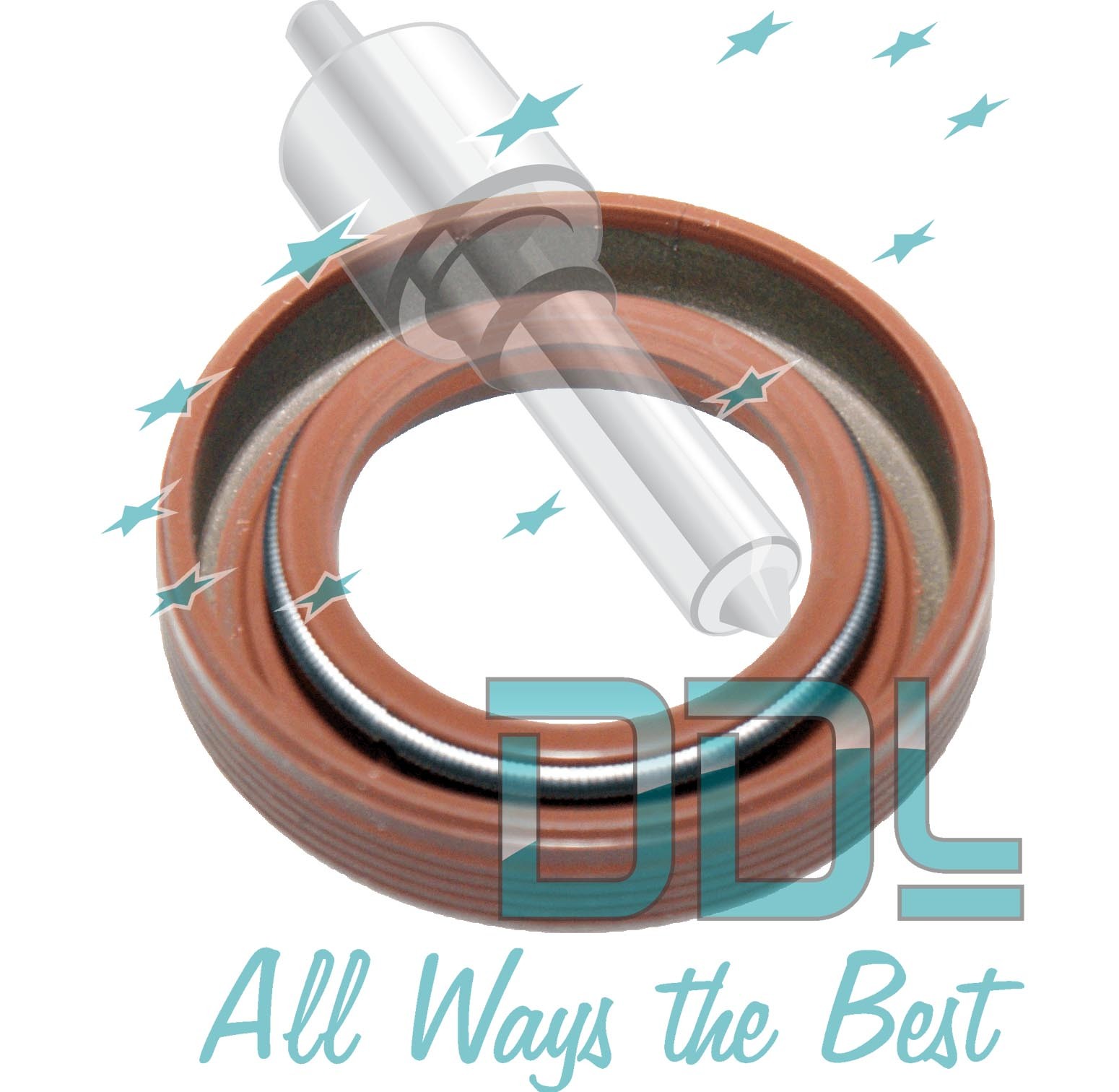 F00R0P0890 Non Genuine Bosch CP3 Oil Seal